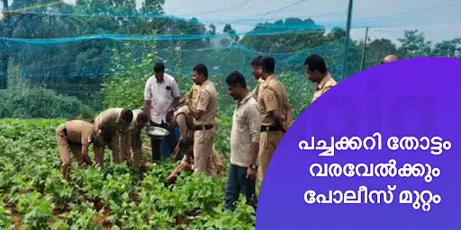 പച്ചക്കറി തോട്ടം വരവേൽക്കും പോലീസ് മുറ്റം