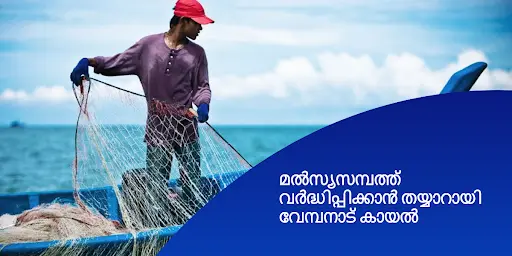 മൽസ്യസമ്പത്ത് വർദ്ധിപ്പിക്കാൻ തയ്യാറായി വേമ്പനാട് കായൽ