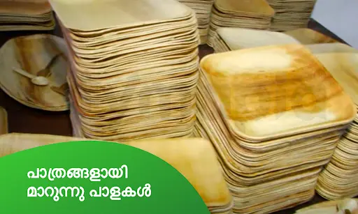 പാത്രങ്ങളായി മാറുന്നു പാളകൾ