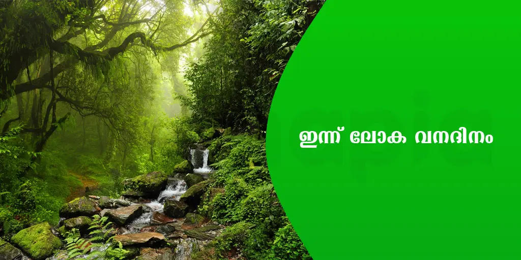 ഇന്ന് ലോക വനദിനം