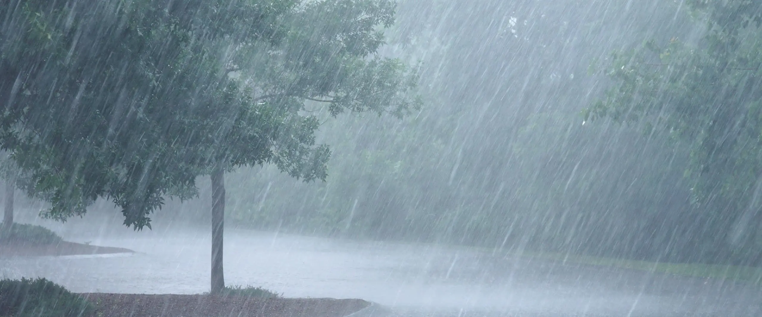 സംസ്ഥാനത്ത് ഇന്ന് മുതൽ ഒറ്റപ്പെട്ട ശക്തമായ മഴയ്ക്ക് സാധ്യത