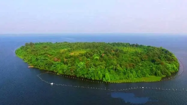 40 രൂപയ്ക്ക് പാതിരാമണലിൽ പോകാം; പാതിരാമണലിൽ എന്തുണ്ട് കാണാൻ?