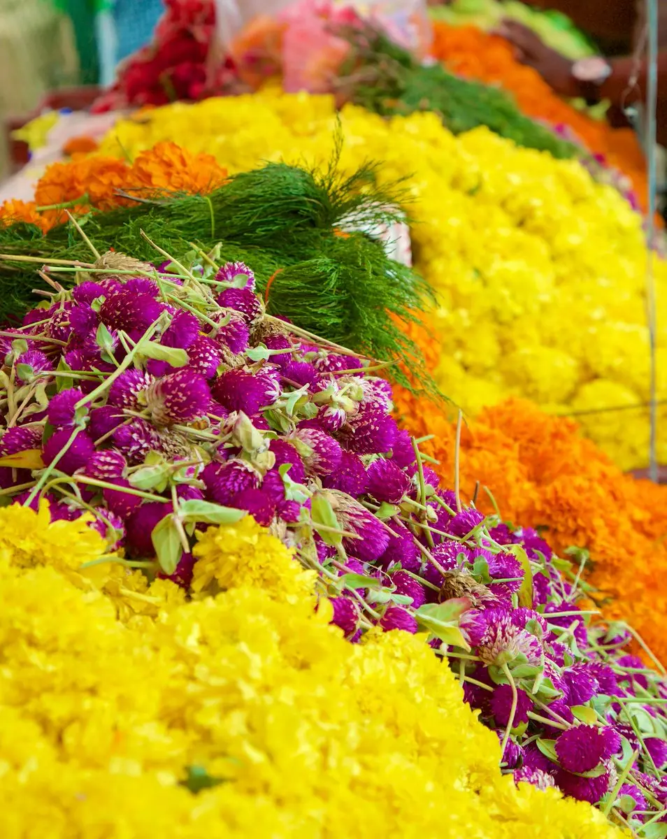 ഓണത്തിന് പൂക്കൾ നാട്ടിൽ തന്നെ... പുഷ്പകൃഷിക്ക് ഒരുങ്ങി കാട്ടാക്കട