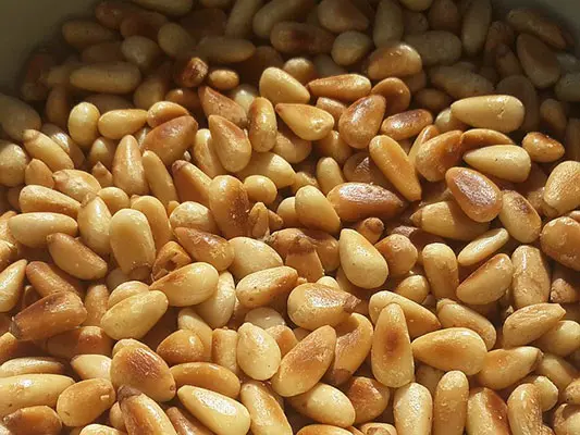 Pine Nuts
