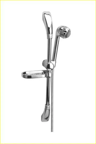 Hand shower with rail