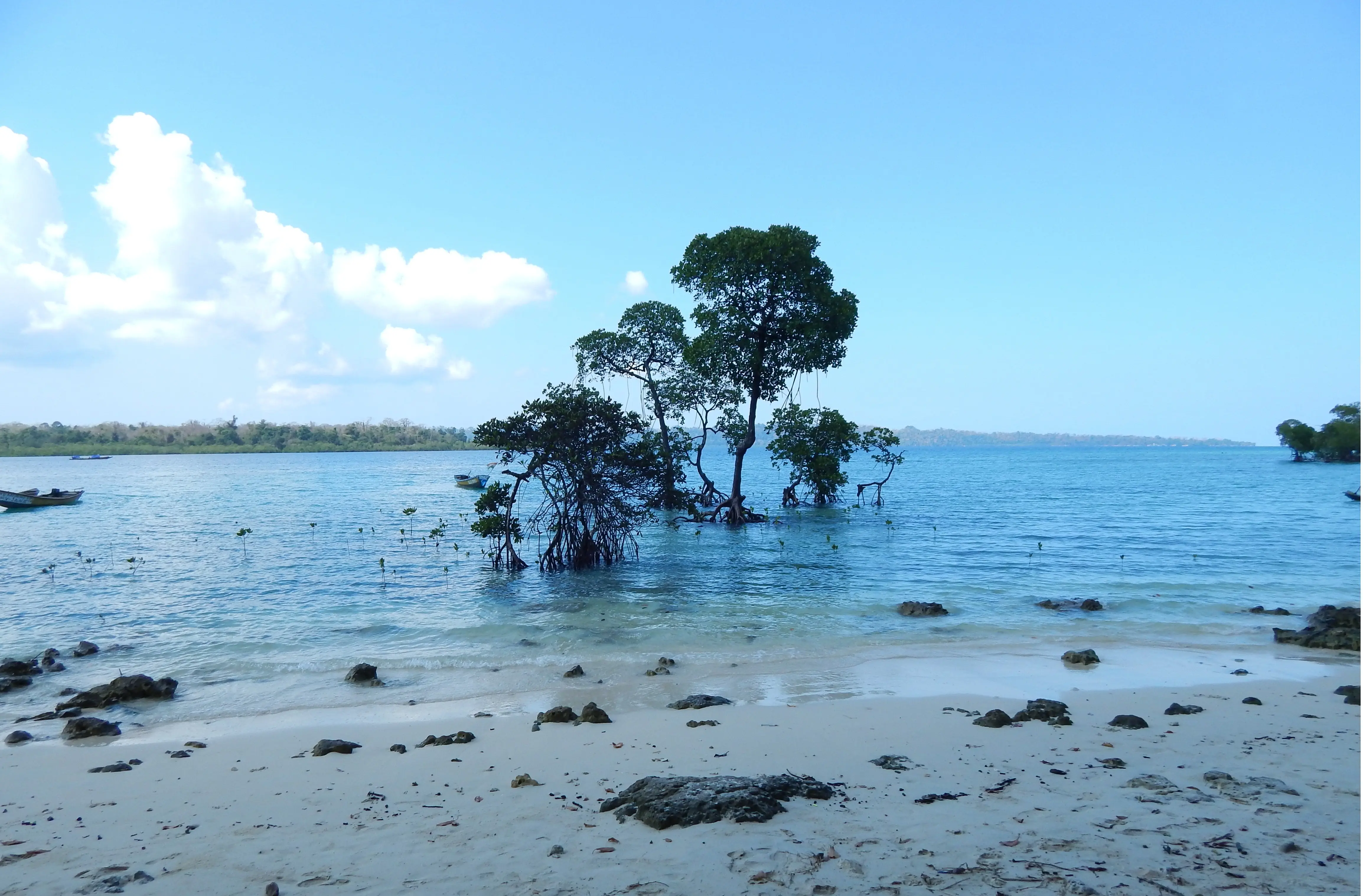 Andaman Packages