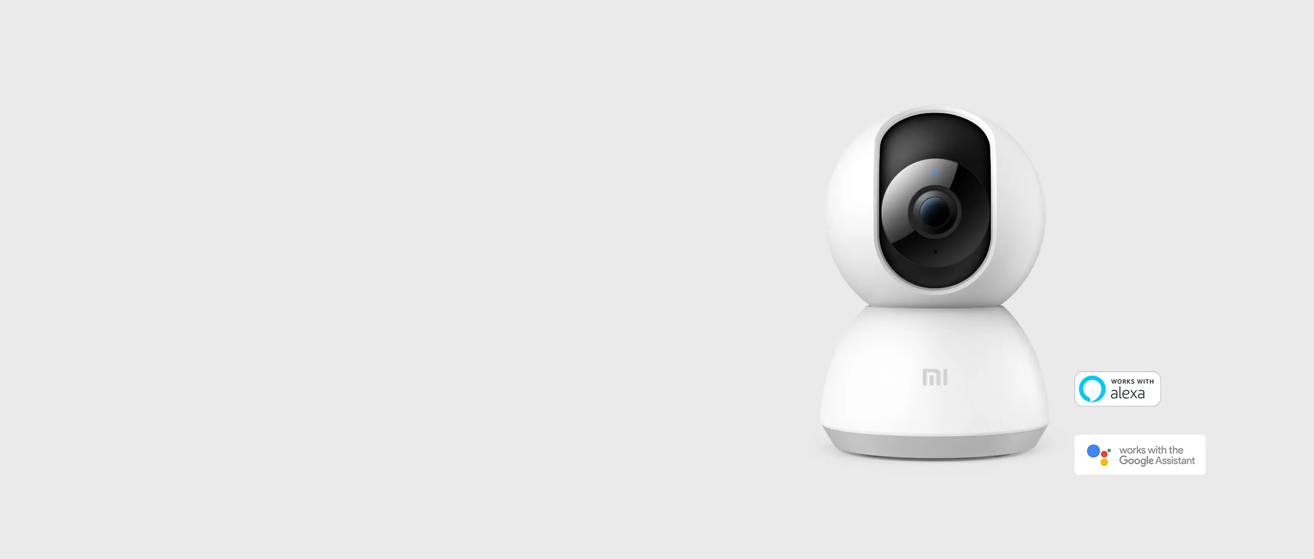 NETWORK AND CCTV SERVICE