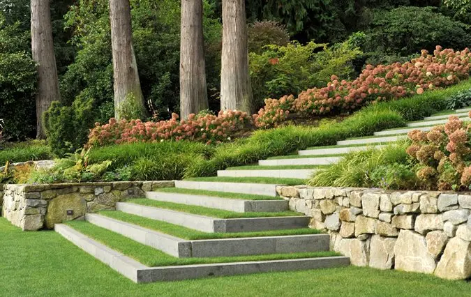 Landscape Design