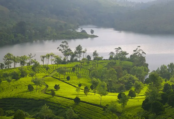 Munnar Package