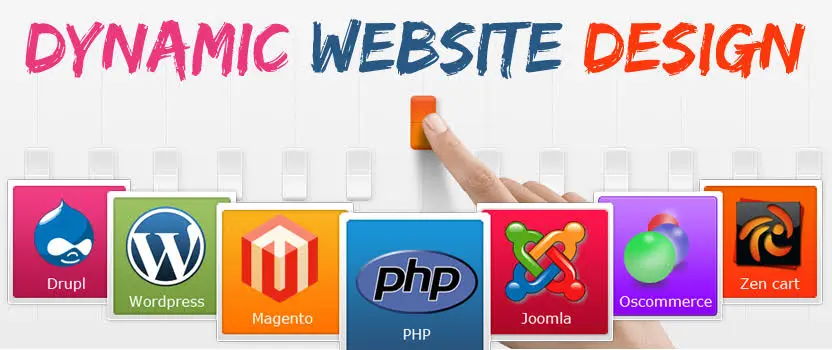 Dynamic Website
