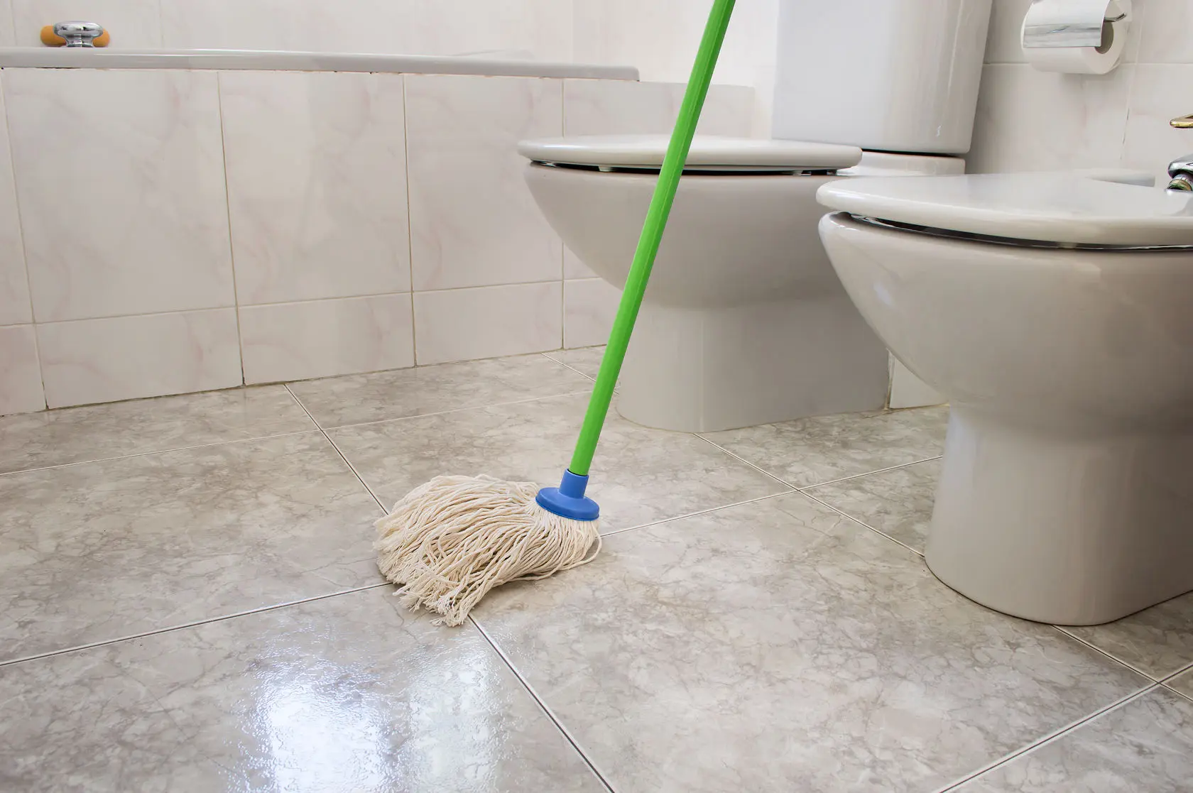 Bathroom Cleaning