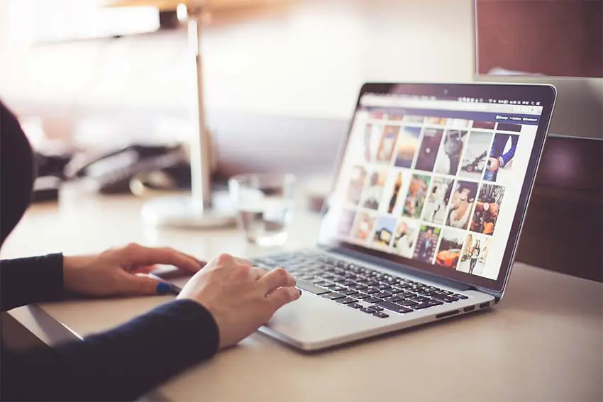 Search Engine Optimization 