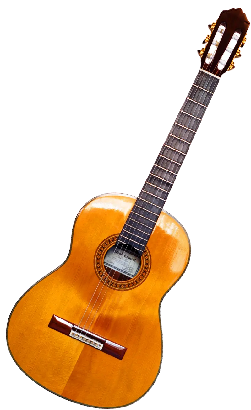 Guitar Training