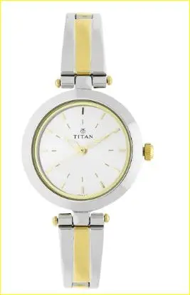 Silver Dial Two Toned Stainless Steel Strap Watch