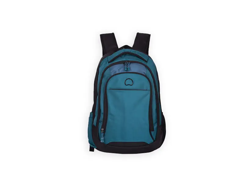 Delsey Destiny Blue & Black Backpack