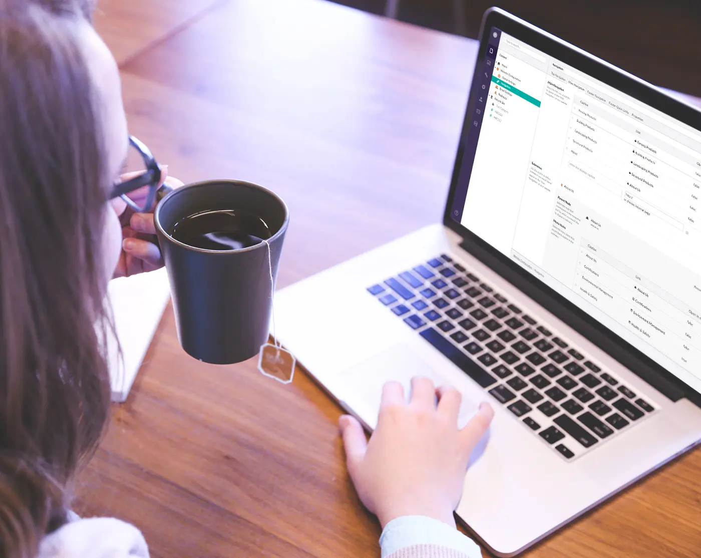 Ecommerce & CMS