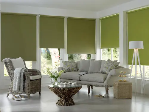 Polyester Roller Blind