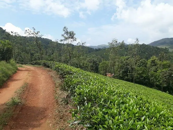 1 acre land in vagdmon