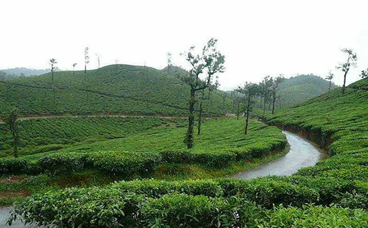 A beautiful 12 acre coffee plantation with a super waterfall in it is best suitable for resorts.