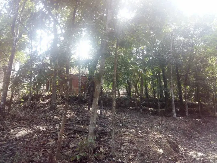 3 ഏക്കർ കരഭൂമി