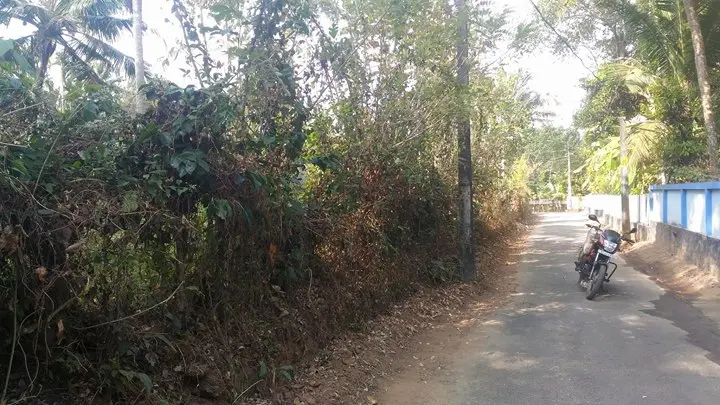 ഇരിങ്ങാലക്കുട ...എടക്കുള൦ മെയി൯ റോഡിൽ നിന്നു൦ 50 മീറ്റർ ദൂര൦മാറി 150അടി ടാറിങ്ങ്റോഡ്