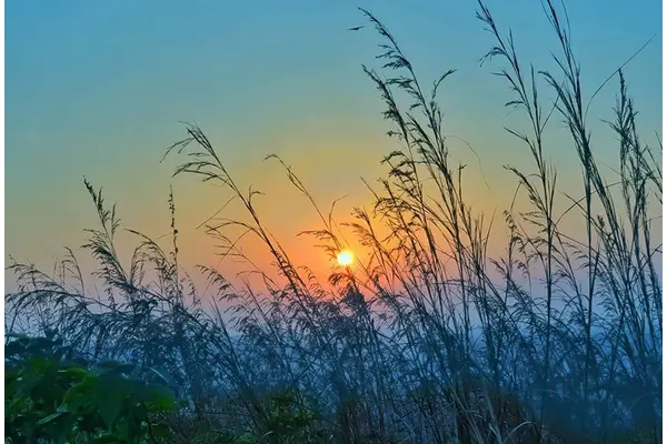 Nature Photography