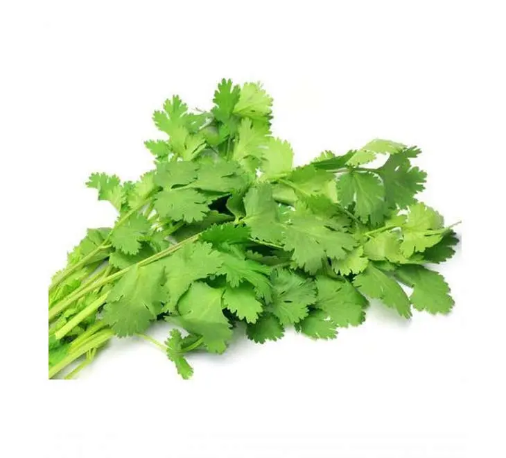 Coriander leaves/Malliyila (മല്ലിയില ) 100 gm