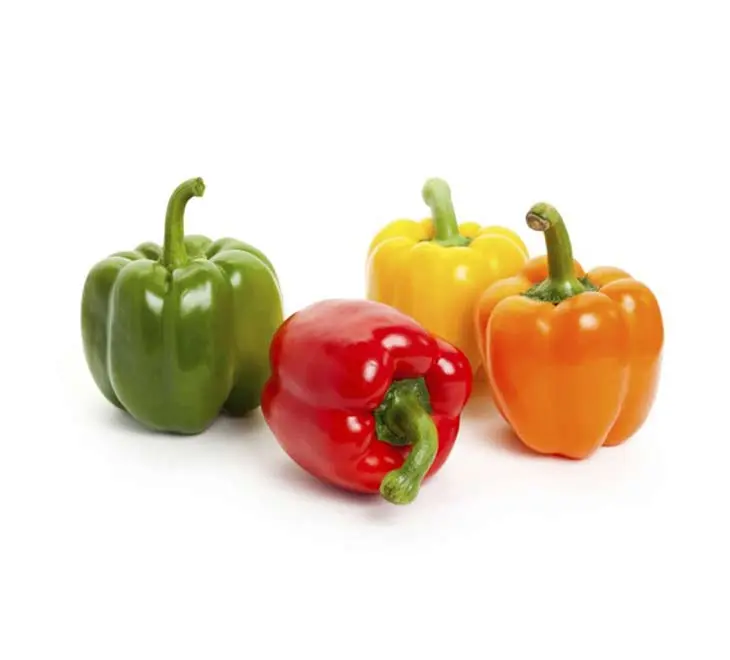 Capsicum 500g