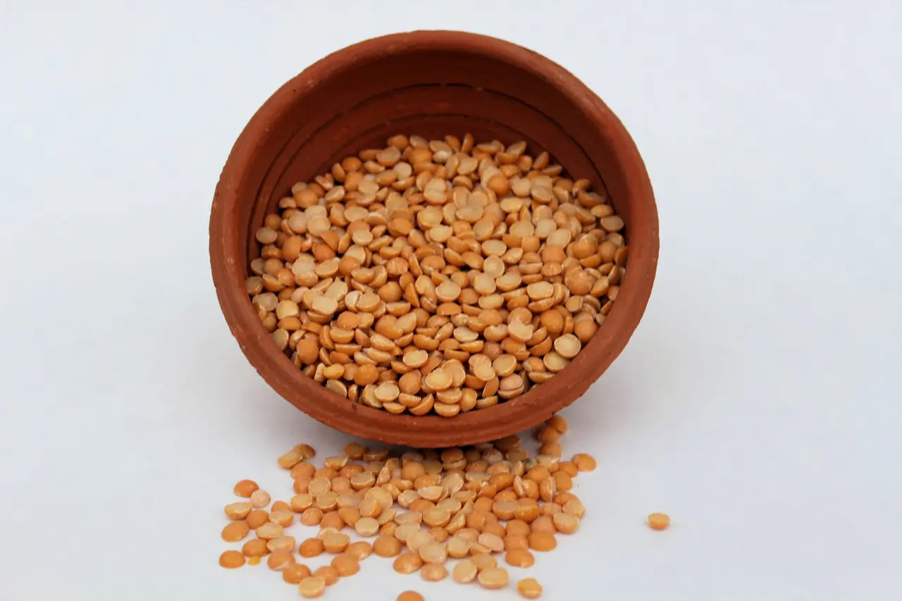 Gramdal / Kadala Parippu (കടല പരിപ്പ് ) 1 kg