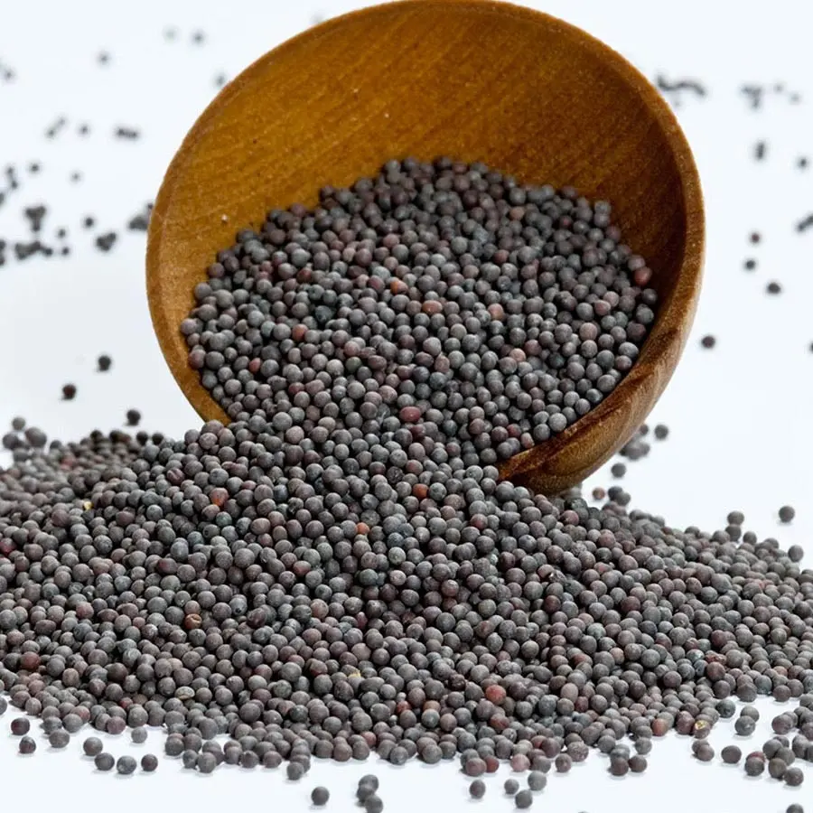 Mustard /Kaduku (കടുക് ) 250g