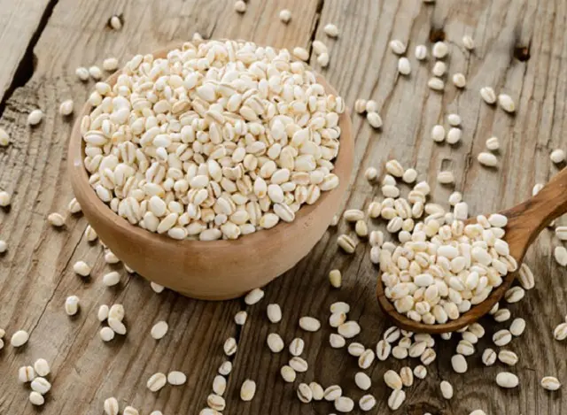 Barley / Barley (ബാർലി ) 100g 
