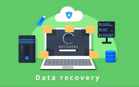 Data Recovery & Back Up