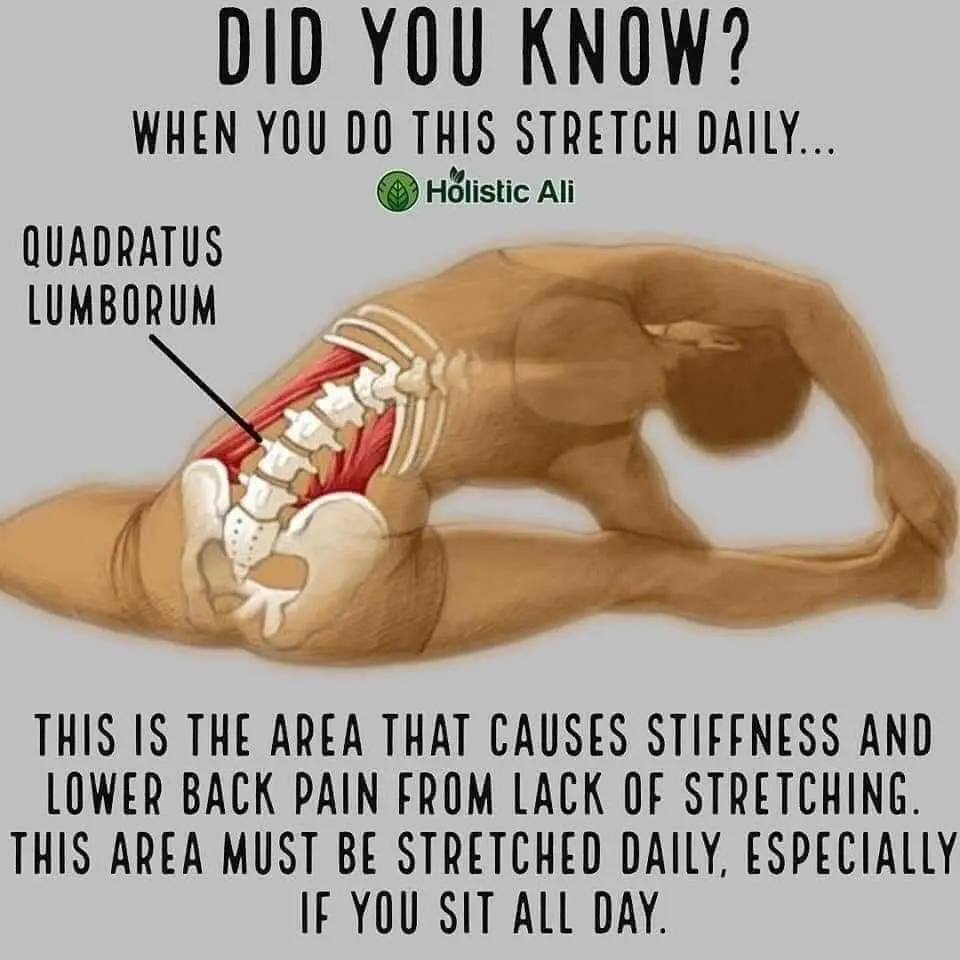 Chiropractic for Back Pain