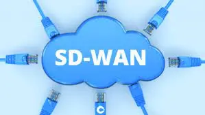 ENTERPRISE SD-WAN - DETAILING