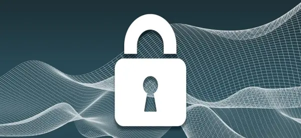 Zero-Day Vulnerabilities: The Race Against Time