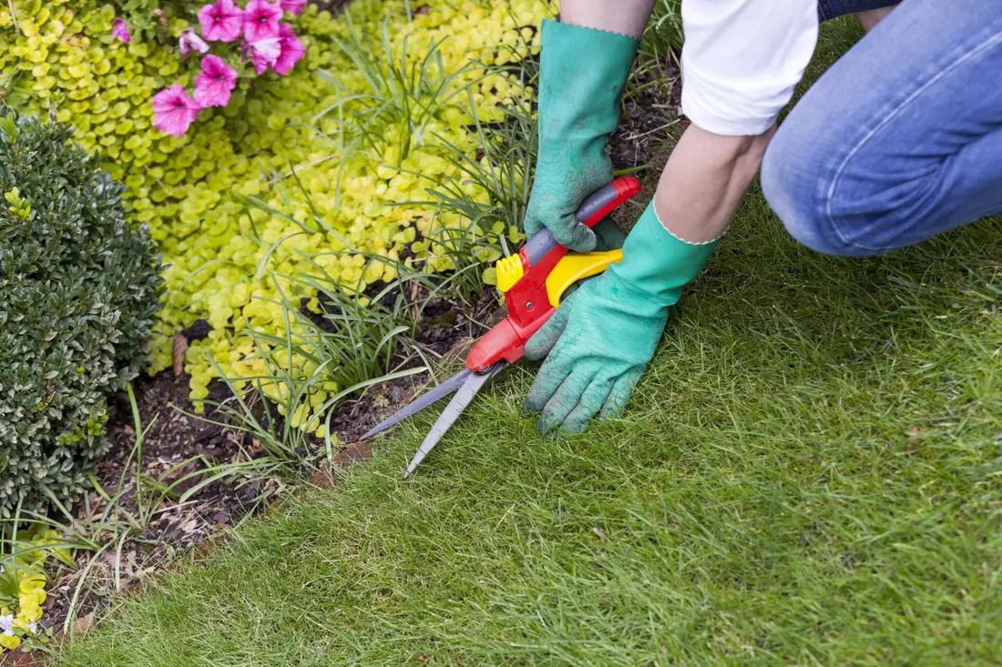 Landscaping Services
