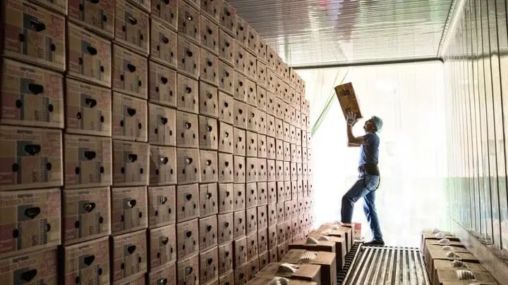 Freight Forwarding