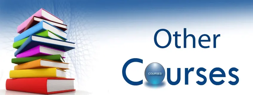 Other Courses
