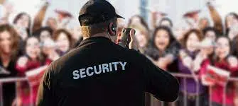 Special event security