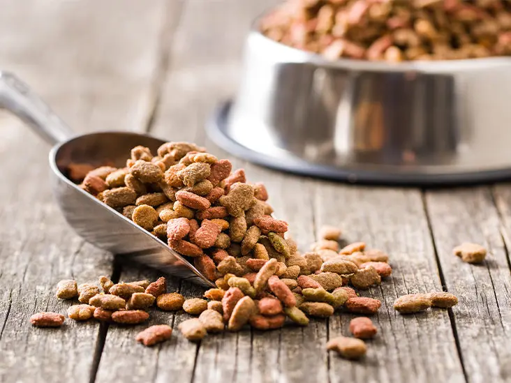 Dog Foods