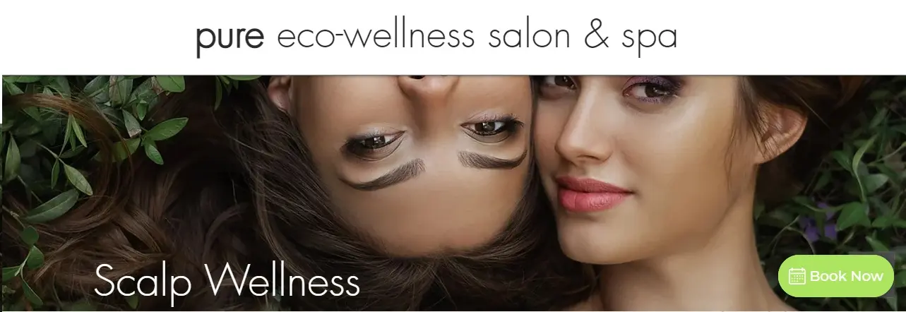 Scalp Wellness Treatment