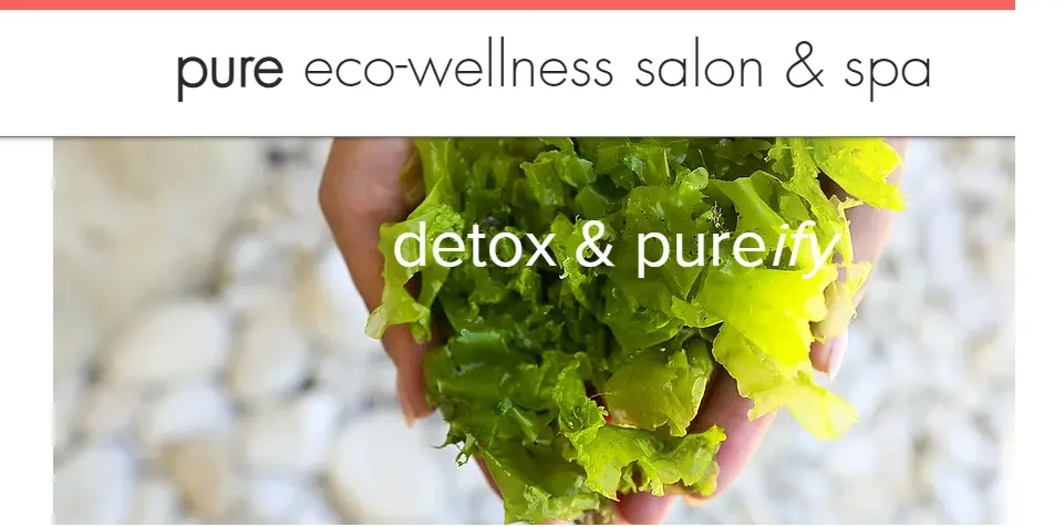 Detox & Purify Treatment