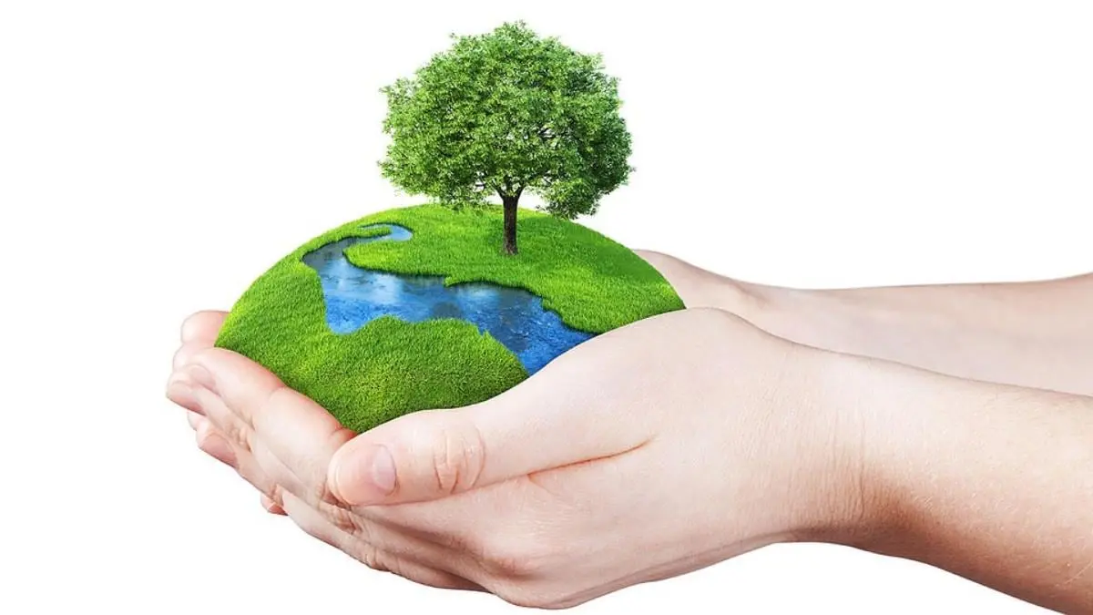 Laudato Si Campaign