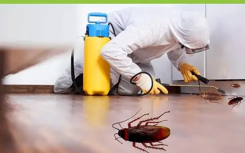 Cockroach control