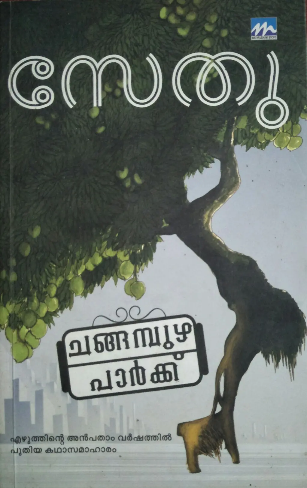 Changampuzha Park ചങ്ങമ്പുഴ പാർക്ക് Stories Sethu Mathrubhumi Books