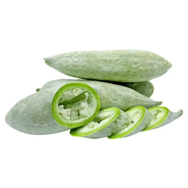Snake Gourd
