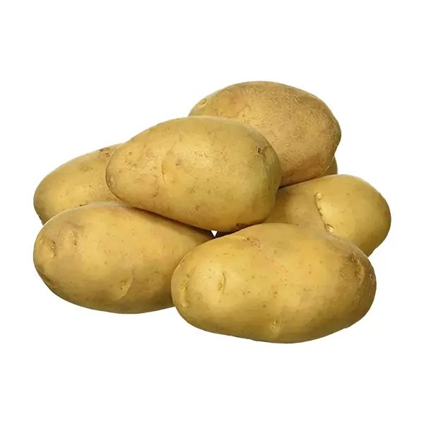 Potato