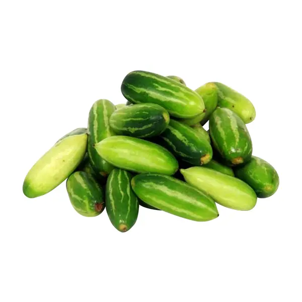 Ivy Gourd