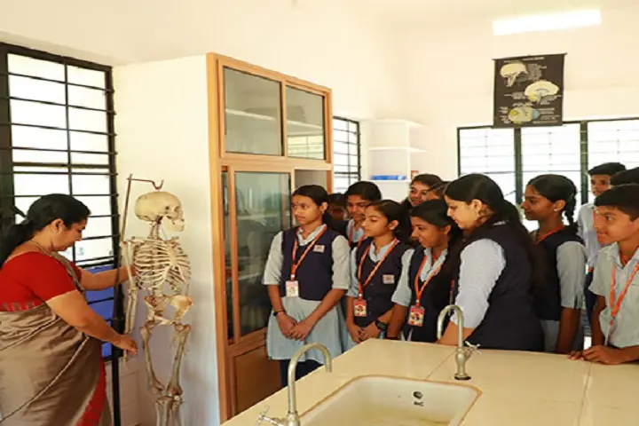 Science Labs