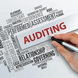 Auditing
